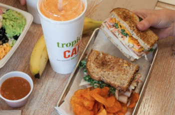 Turn Key Tropical Smoothie Franchise for Sale