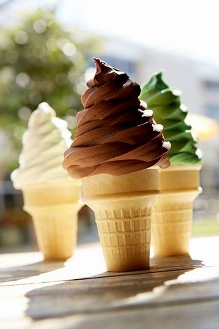 Profitable National Ice Cream Franchise for Sale in Dutchess County NY