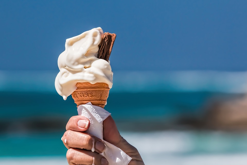 Existing Ice Cream Business Franchise for Sale in Vero Beach, Fl
