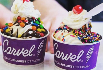 Profitable Carvel Ice Cream Franchise for Sale in Dutchess County NY