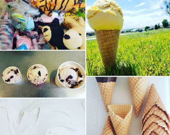 At $79,000 this Independent Ice Cream Business for Sale is just mising you!